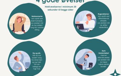 Ikke bare god ergonomi – men god ergonomi i praksis
